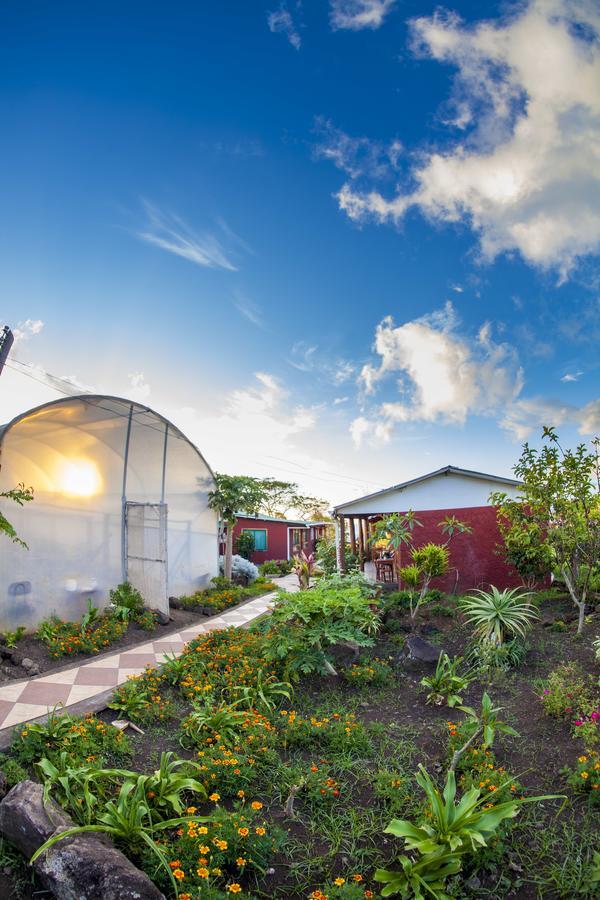 Cabanas Keuhenua Hanga Roa Exterior foto